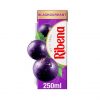 Trinkpackung Ribena Blackcurrant Juice Drink 250 ml